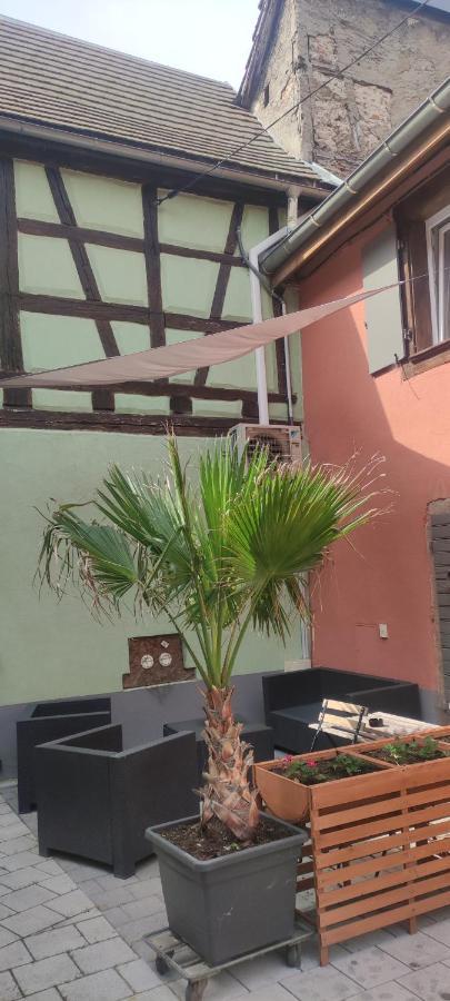 Gite Chez "Mamie Schlop" Kientzheim Exteriér fotografie