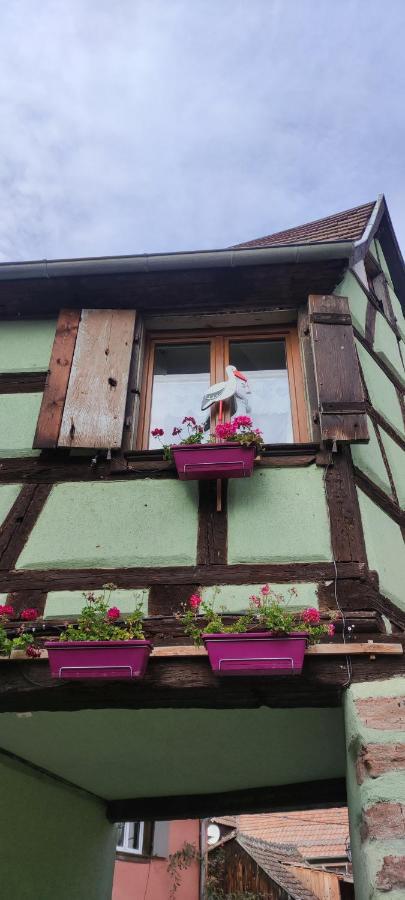 Gite Chez "Mamie Schlop" Kientzheim Exteriér fotografie