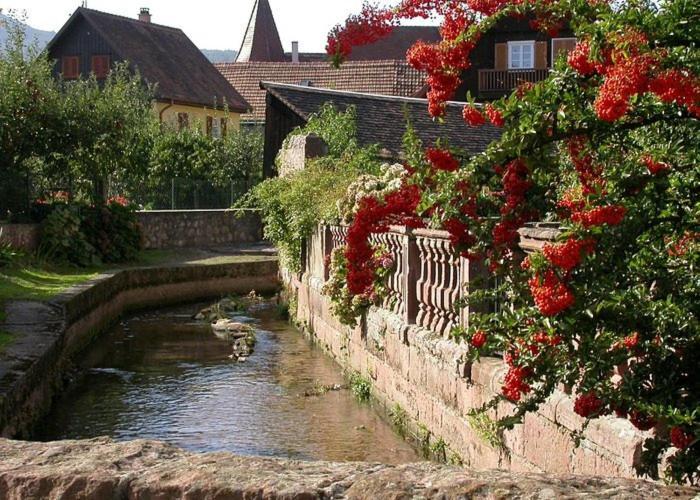 Gite Chez "Mamie Schlop" Kientzheim Pokoj fotografie